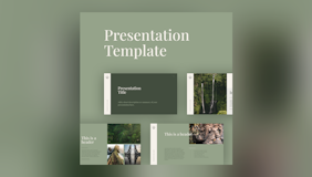Image of Bold Pitch Deck Presentation Templates
