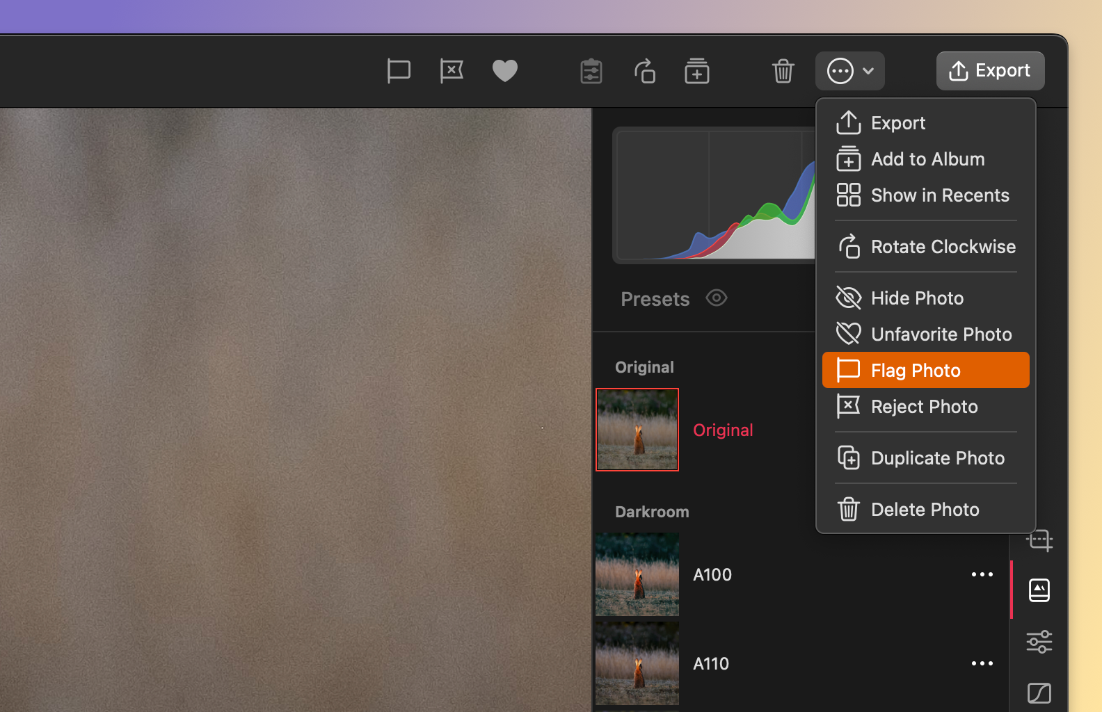 An image showing photo organization features in Darkroom