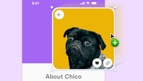 Image of Introducing Symbols